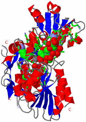 Image Asym./Biol. Unit - sites