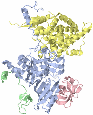 Image Asym./Biol. Unit