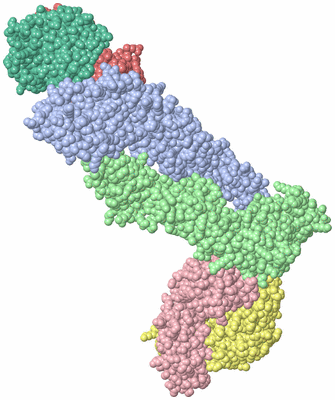 Image Asym./Biol. Unit