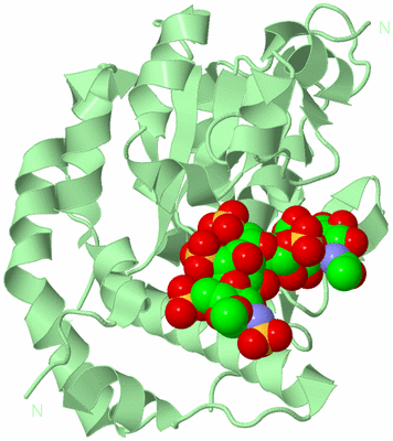 Image Biological Unit 2