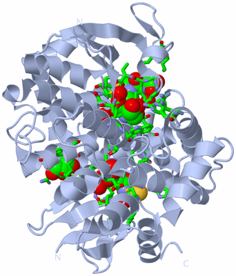 Image Biol. Unit 1 - sites