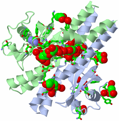 Image Asym./Biol. Unit - sites