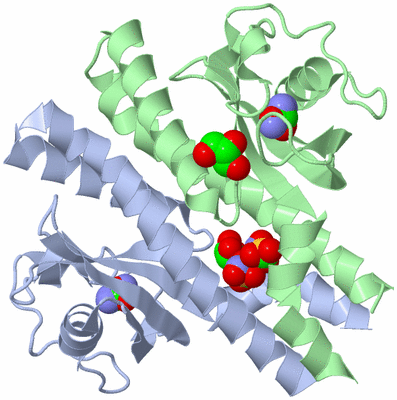 Image Asym./Biol. Unit