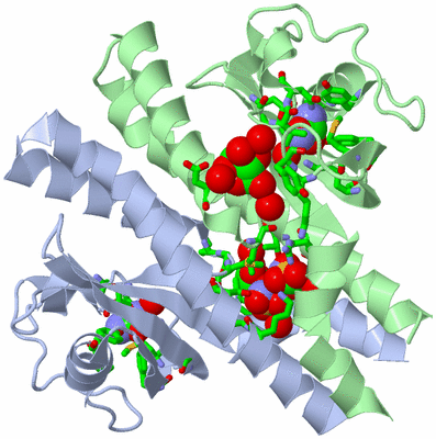 Image Asym./Biol. Unit - sites