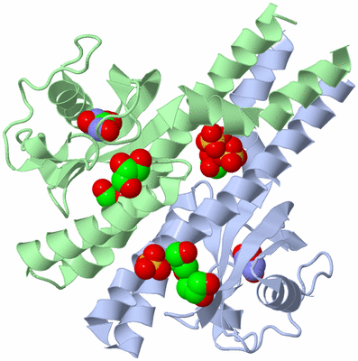 Image Asym./Biol. Unit