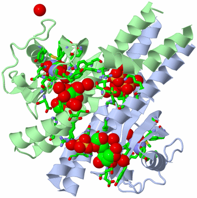 Image Asym./Biol. Unit - sites