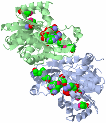 Image Asym./Biol. Unit