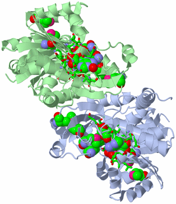 Image Asym./Biol. Unit - sites