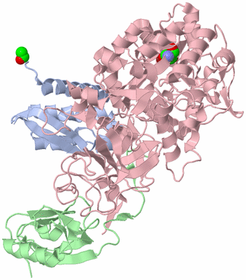 Image Biological Unit 1