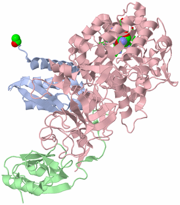 Image Biol. Unit 1 - sites