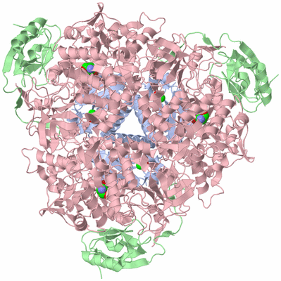 Image Biological Unit 2