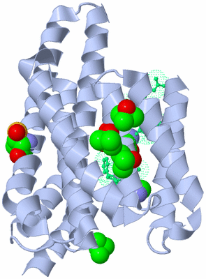 Image Biological Unit 2