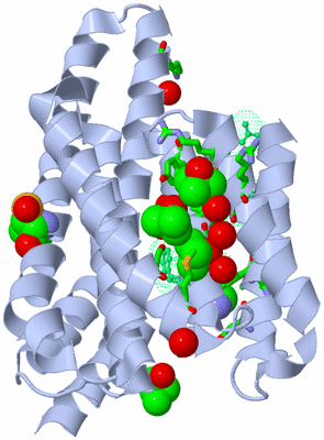 Image Asym. Unit - sites