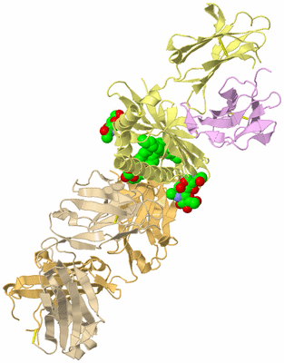 Image Biological Unit 2