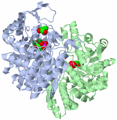 Image Asym./Biol. Unit