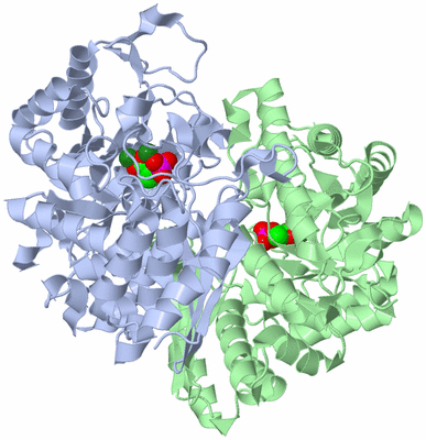 Image Asym./Biol. Unit