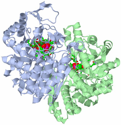 Image Asym./Biol. Unit - sites