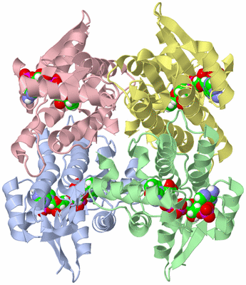 Image Biological Unit 1