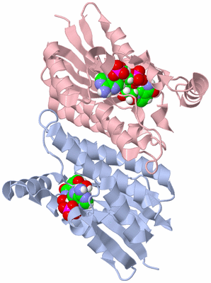 Image Biological Unit 2