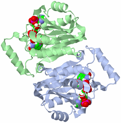 Image Biological Unit 3