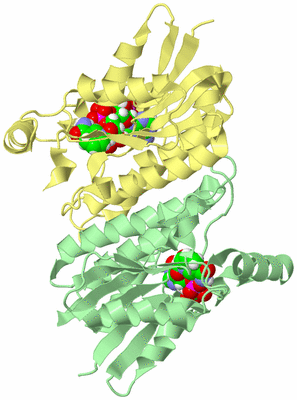 Image Biological Unit 4