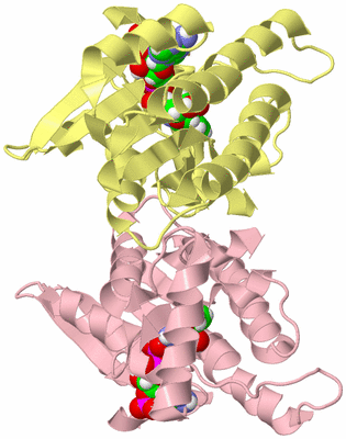 Image Biological Unit 5