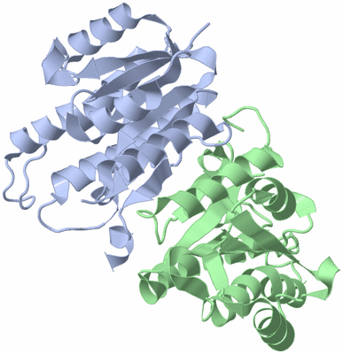 Image Biological Unit 3