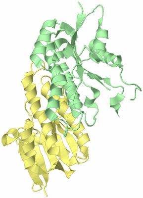 Image Biological Unit 4