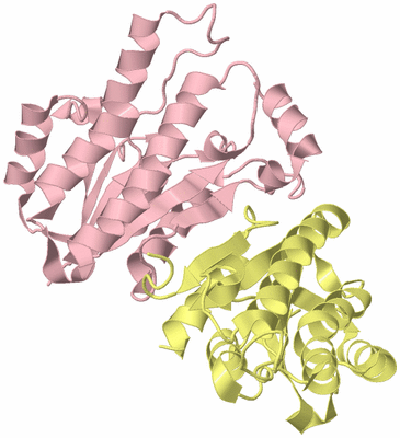 Image Biological Unit 5