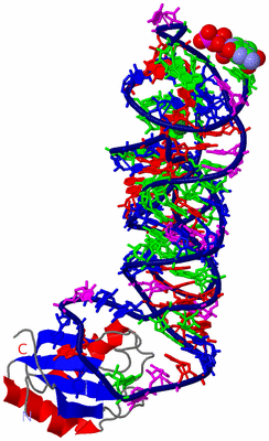 Image Asym./Biol. Unit