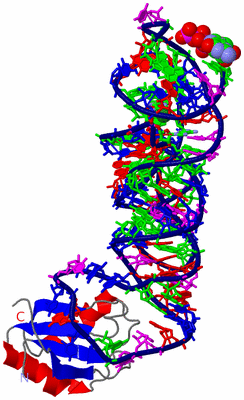 Image Asym./Biol. Unit - sites