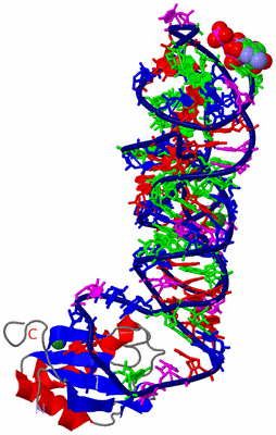 Image Asym./Biol. Unit