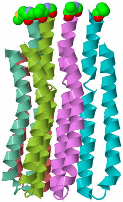 Image Asymmetric Unit