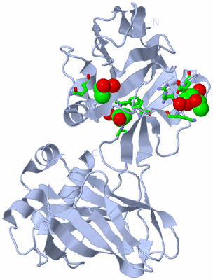 Image Biol. Unit 1 - sites