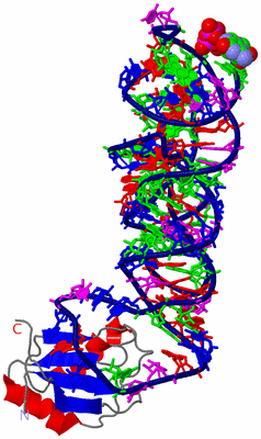 Image Asym./Biol. Unit