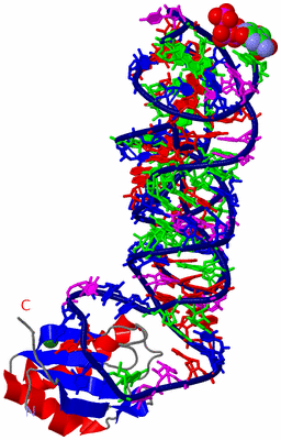 Image Asym./Biol. Unit