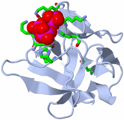 Image Biol. Unit 1 - sites