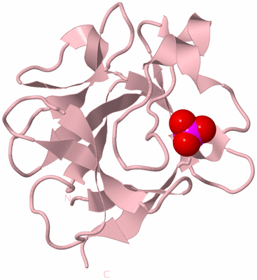 Image Biological Unit 3