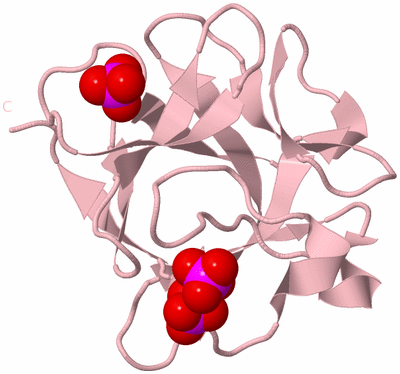 Image Biological Unit 3