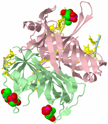 Image Biological Unit 2