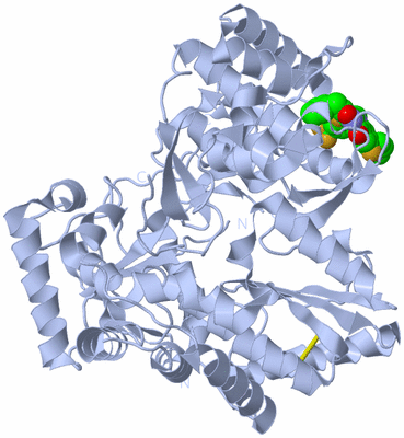 Image Biological Unit 1