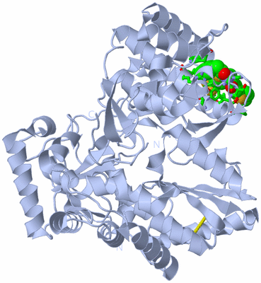 Image Biol. Unit 1 - sites