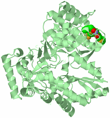 Image Biological Unit 2