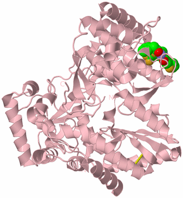 Image Biological Unit 3