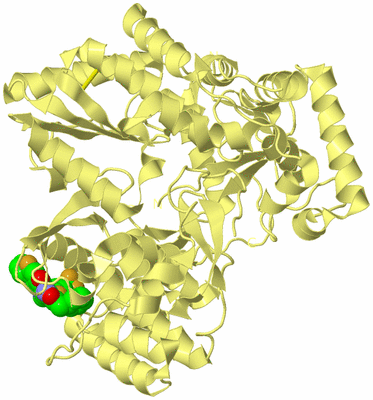 Image Biological Unit 4