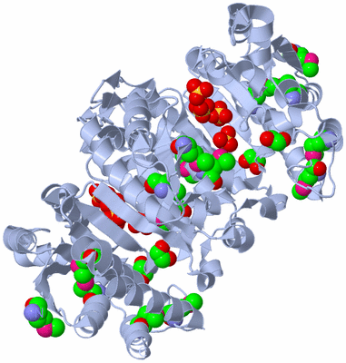 Image Biological Unit 1