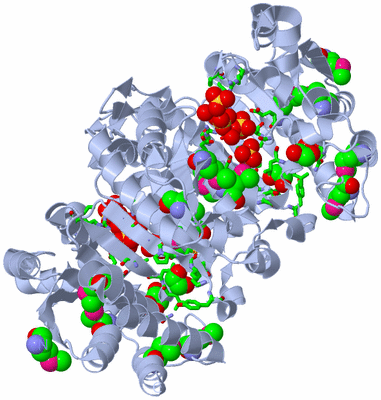 Image Biol. Unit 1 - sites