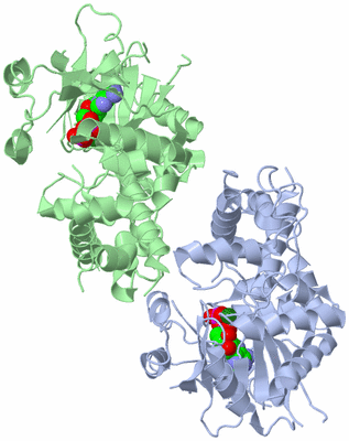 Image Biological Unit 3