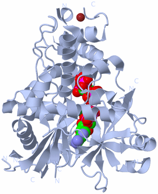 Image Biological Unit 1