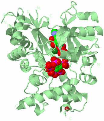 Image Biological Unit 2